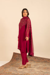 3 Piece Chiffon Embroidered Suit (FL0010)